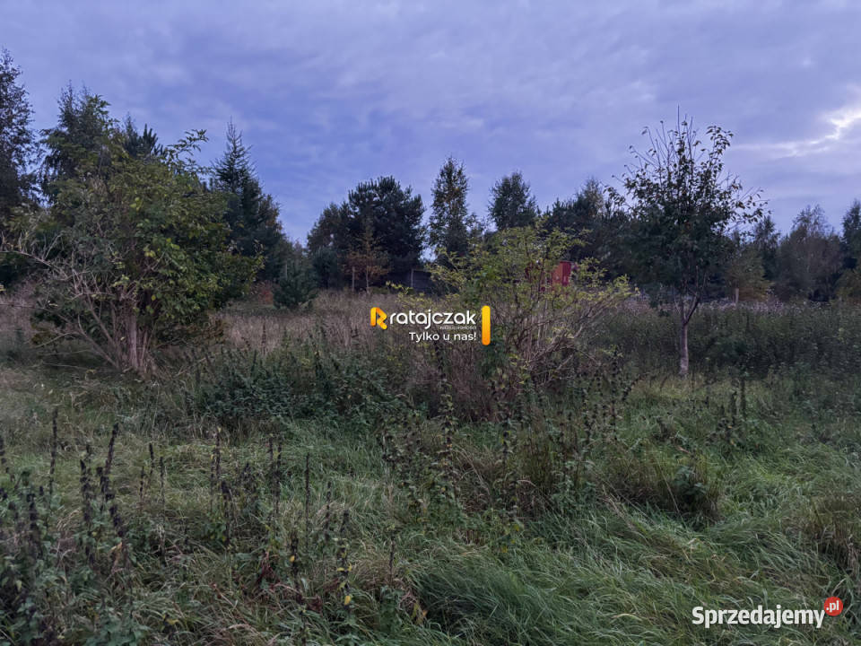 Grunt Warzno Spacerowa 1001m2 budowlana Sprzedaż