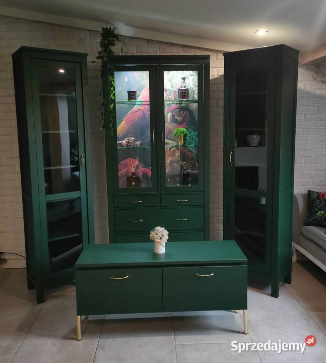 Zestaw niepowtarzalnych mebli Poznań