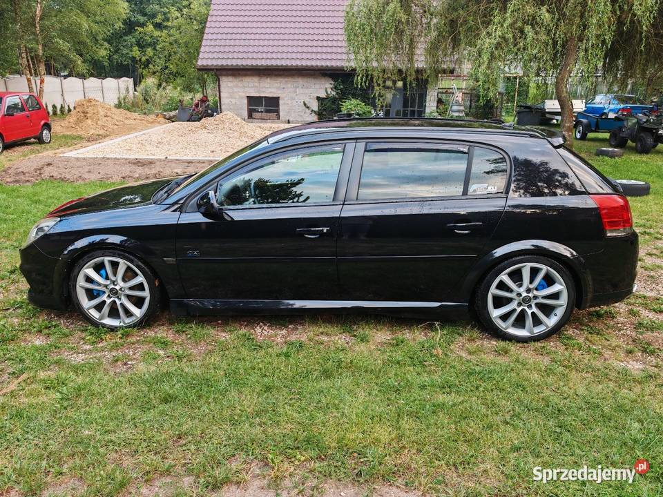 Opel signum 20t 298449nm komputer pokładowy Kuźnica Kiedrzyńska