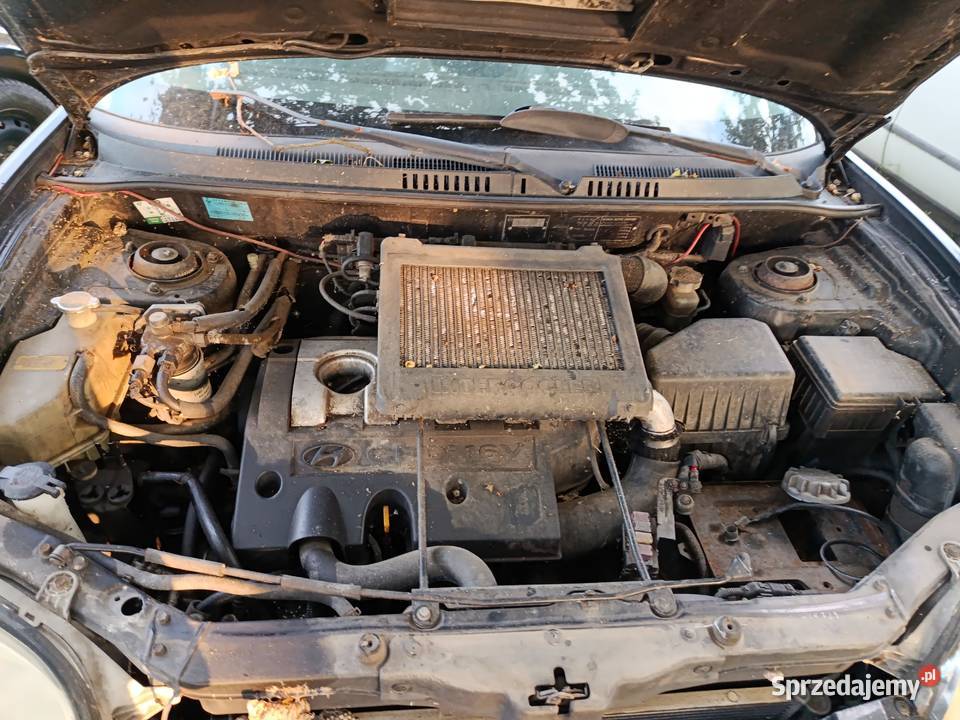 Hyundai Santa Fe 20 CRDi 83 kW 2002 r dawca Szklarka Myślniewska
