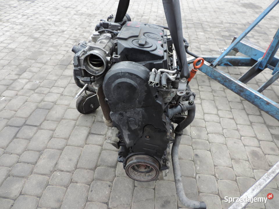 VW PASSAT B6 19 TDI 77KW 105 SILNIK BLS osobowe Nowy Sącz