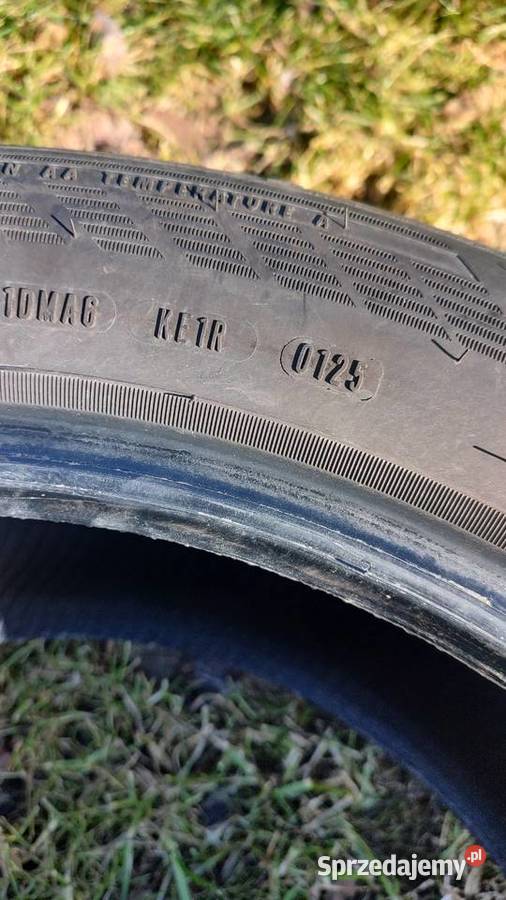 Goodyear Eagle F1 Asymmetric 64 2455019 sprzedam