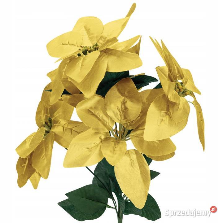 Kwiaty sztuczne GWIAZDA BETLEJEMSKA 45 Jasło