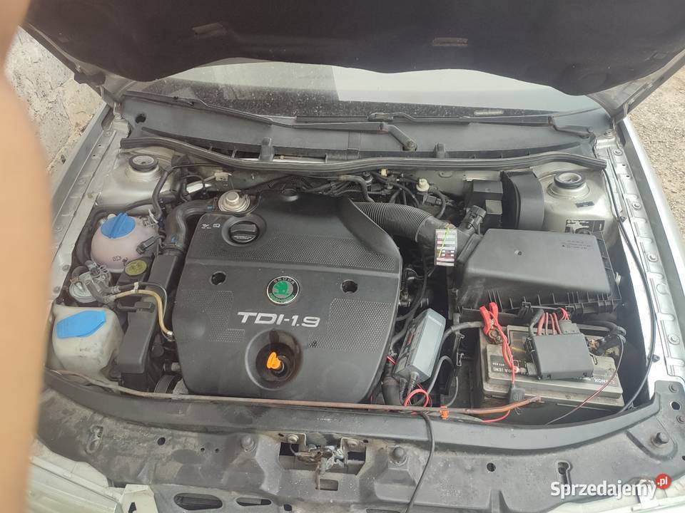 Skoda Octavia części 19 tdi Rajbrot