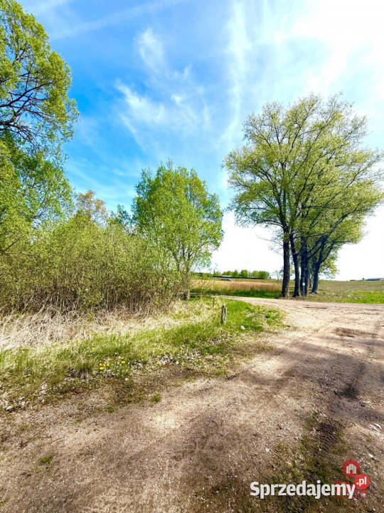 sprzedaży gruntu Bród Nowy 30000m2
