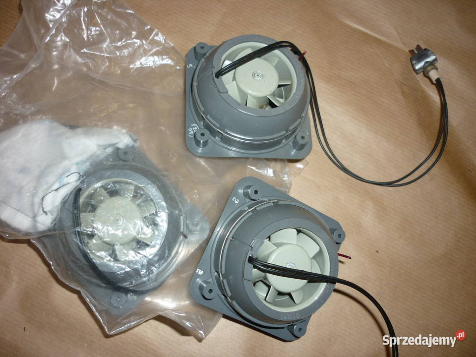 Samolot AN2 Pozostałe podkarpackie Dębica