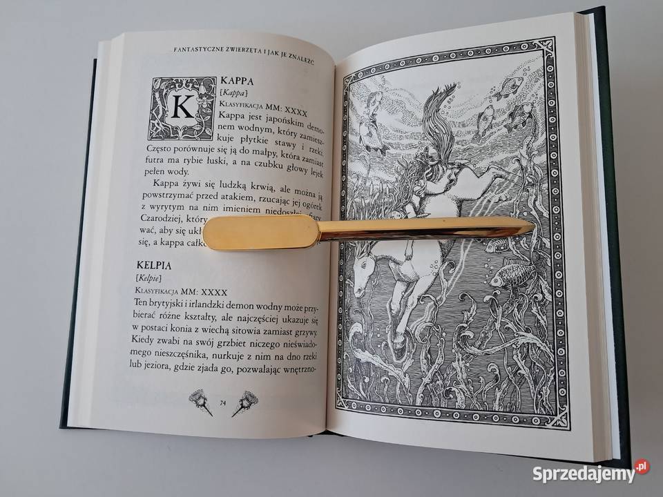Książka Fantastyczne zwierzęta i je znaleźć ISBN 9788380082984 Kraków