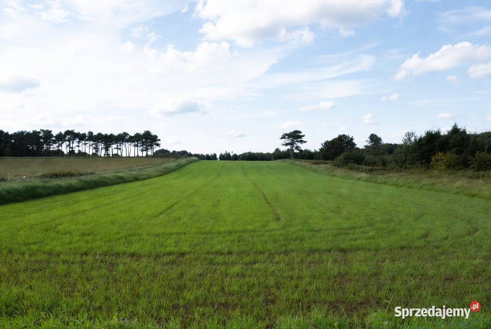 Działki inwest 16 do Zatoka Pucka Hel Sprzedaż pomorskie Swarzewo