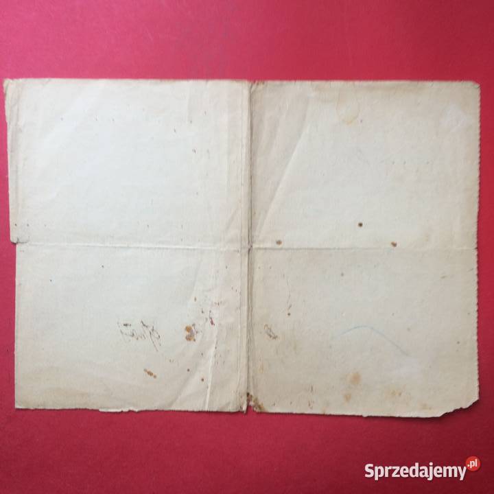 1408 Opinia i Przedłużenie Umowy Urbański Szczecin