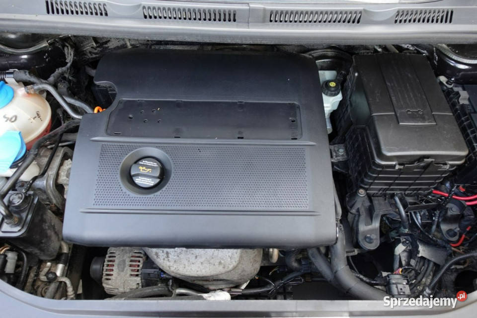 Volkswagen Golf Plus Super Stan Pewne Auto Płońsk