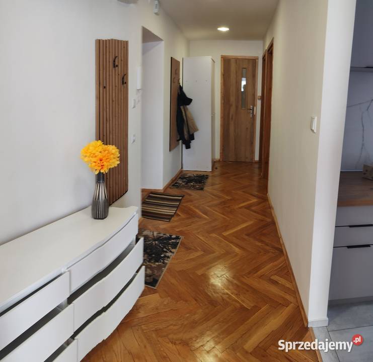 Mieszkanie do wynajęcia Jelenia Góra 50m2 sprzedam