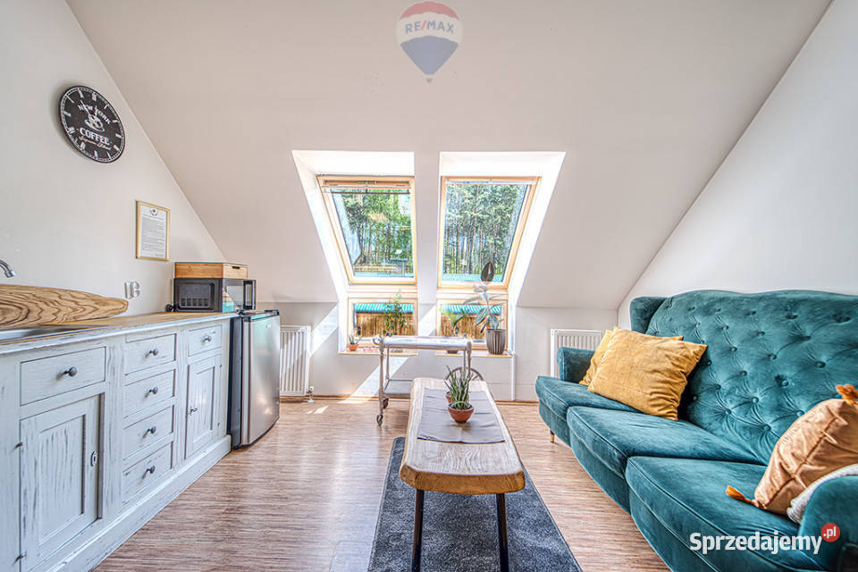 Doskonała okazja koniarzy i nie lubuskie Zielona Góra