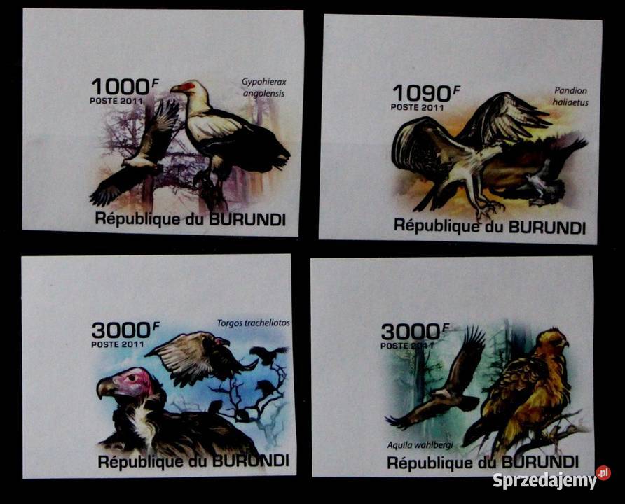 Burundi 20142017 4 jpg Oborniki sprzedam