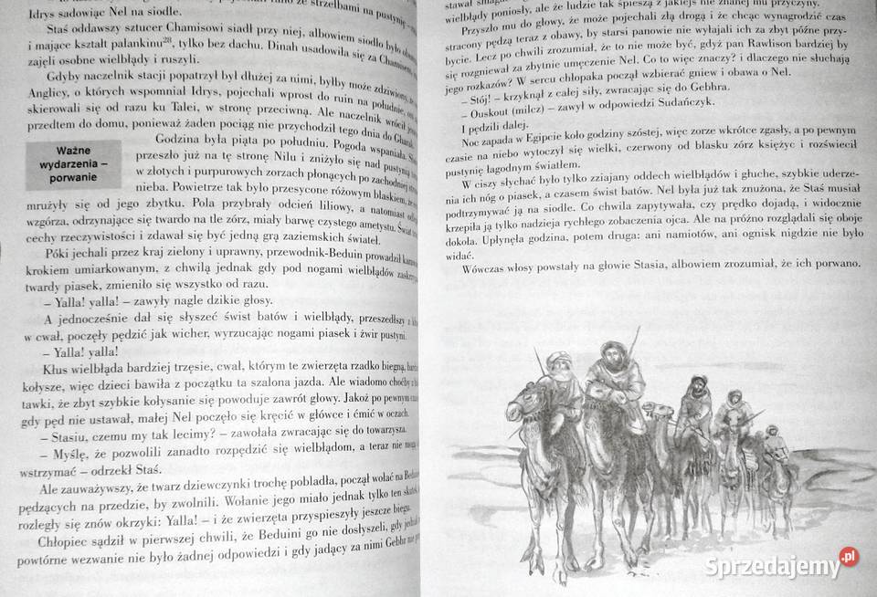 W pustyni i w puszczy H Sienkiewicz Lektura z Rok wydania 1998 Chełm