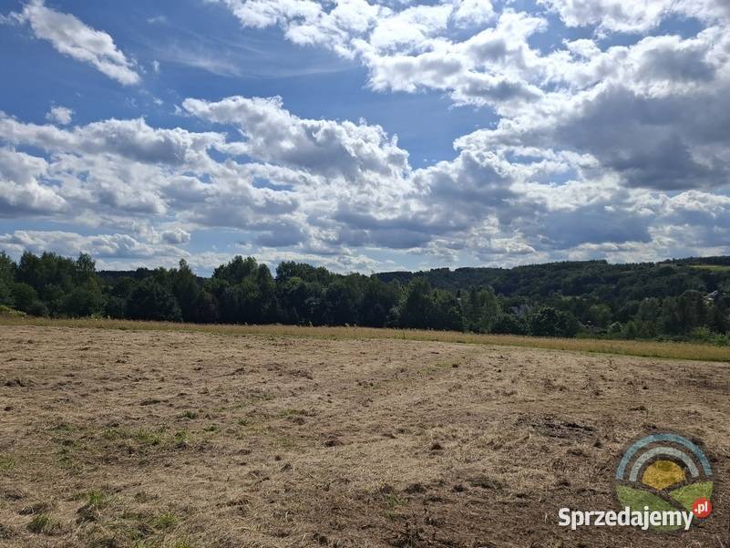 Brzoskwinia gm Zabierzów widokowa działka 3100 3100m2 małopolskie
