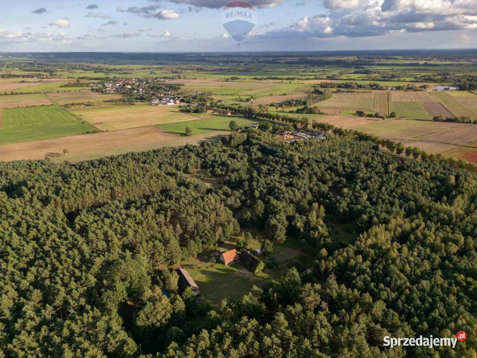 Działka rolna z możliwością WZ wielkopolskie Jędrzejewo