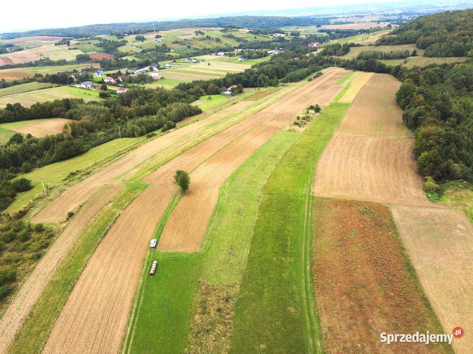 Działka rolna Łajsce Sprzedaż podkarpackie