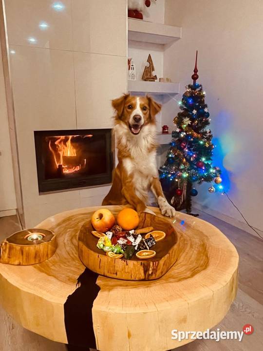 Stolik kawowy żywica epoksydowa loft Rudzisko