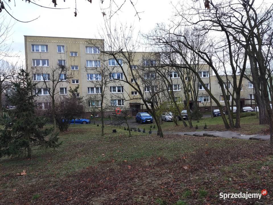 Mieszkanie Legionowo 53m2 z ogródkiem i piwnicą parter sprzedam