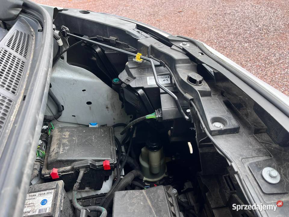 Peugeot Expert L3 Long 20 BlueHdi manualna Bolesławiec