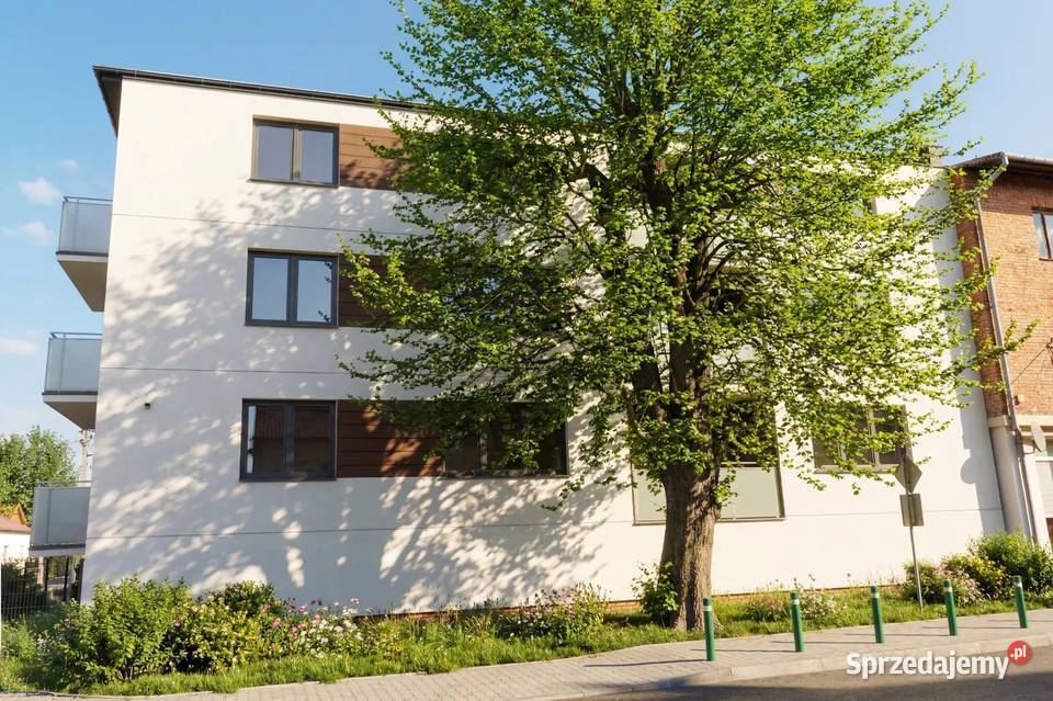 sprzedam mieszkanie 7718m2 Bezpośrednio 3 pokoje