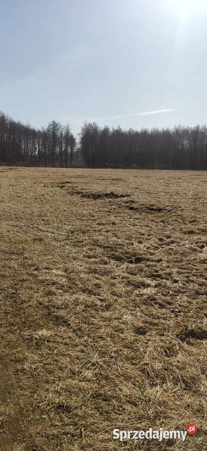 Działka budowlana kopanino