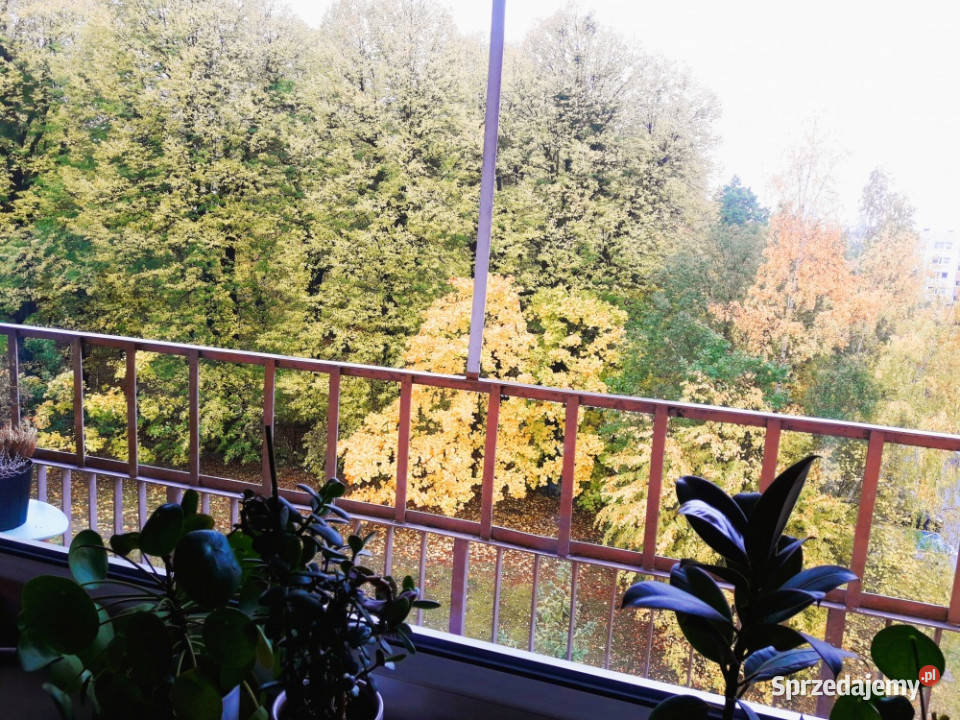 Gdańsk Morena Dwustronne Piękne widoki Duża Sprzedaż