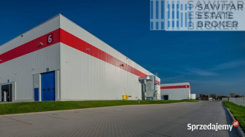 Magazyn klasy A dostępna zaraz bez prowizji śląskie Katowice