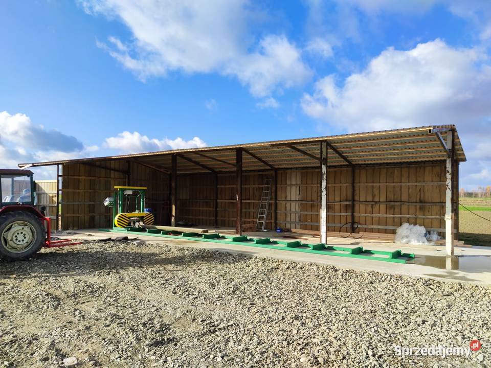 Transport w w zakupu Certyfikowany Trak Taśmowy Leśnictwo Łąck