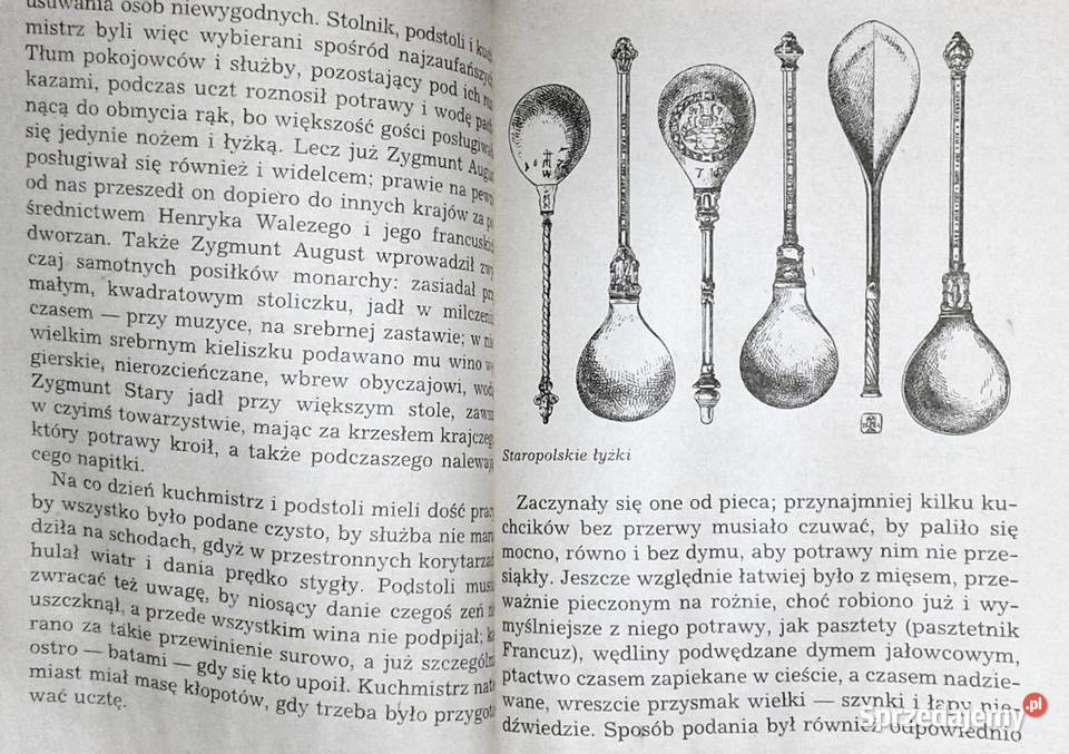 Na zygmuntowskim dworze Marek Hryniewicz Pozostałe lubelskie Chełm