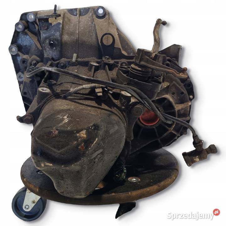 SKRZYNIA BIEGÓW Nissan Qashqai J10 16 16V Skrzynie biegów manualne lubelskie Chełm sprzedam