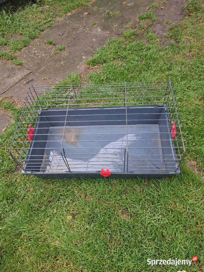 Klatka świnki morskiej Dąbrowa Górnicza