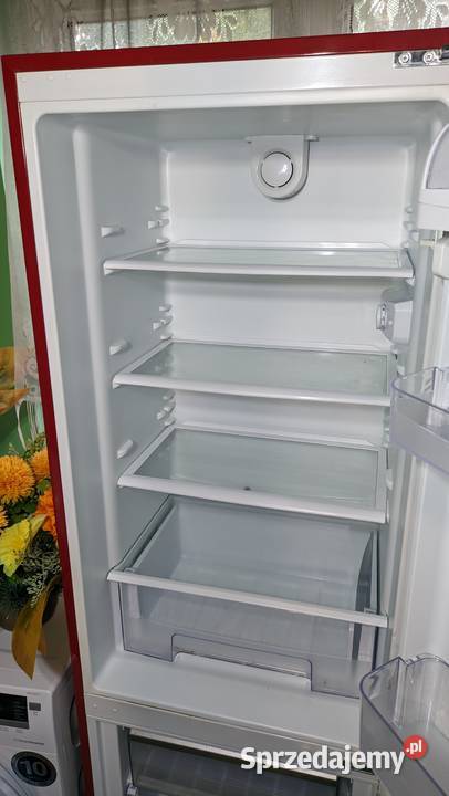 Lodówka lodówkozamrażarka pojemność 300 Dobrzyń nad Wisłą