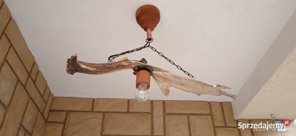 Niepowtarzalna lampa wisząca z poroża daniela wielkopolskie Gniezno
