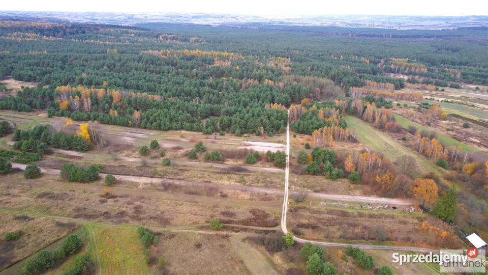 Działkę sprzedam 33800m Kajetanówka 2zł/m2