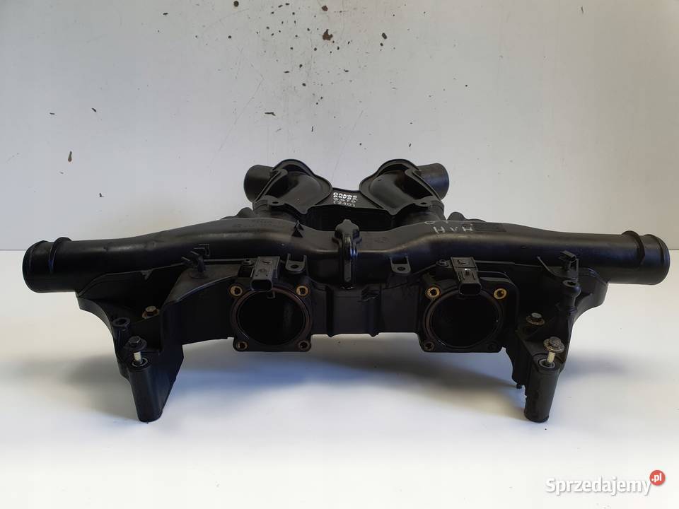 Range Rover Vogue L322 36 368DT KOLEKTOR SSĄCY Rudka