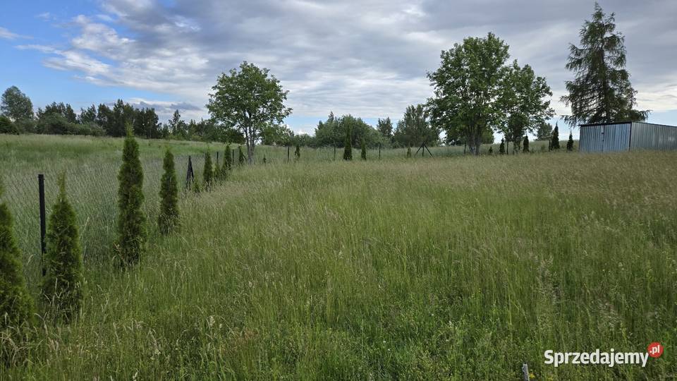 Działka 783 m z domkiem holenderskim Orzechowo Sprzedaż sprzedam