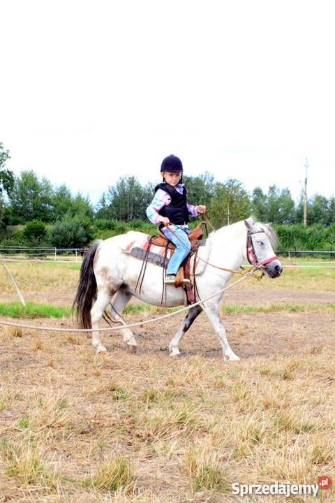 Nauka Jazdy Konnej Pozostałe usługi Gierałtów