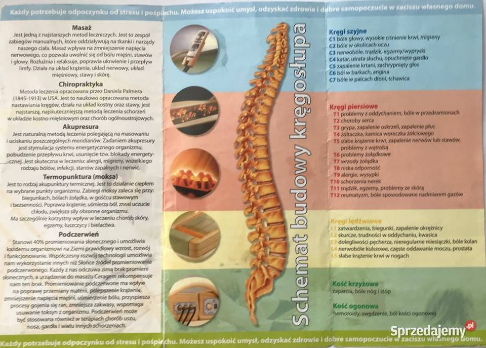 CERAGEM E Łóżko do masażu Częstochowa