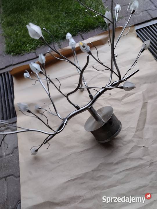 Żerandol Ostrowiec Świętokrzyski