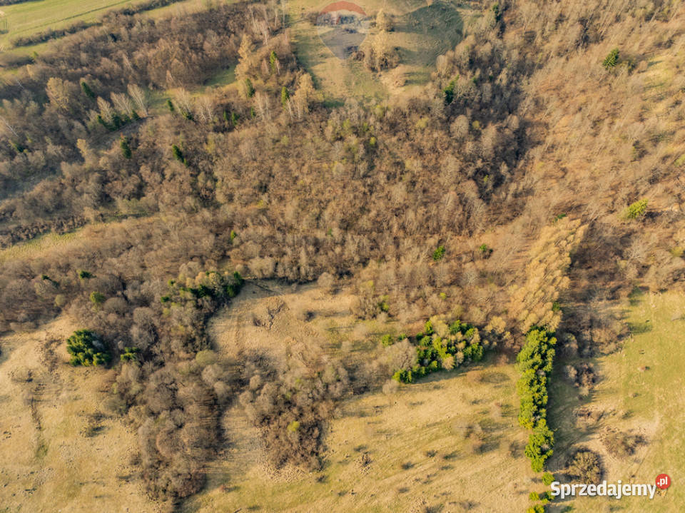 Szukasz prywatnego azylu w sercu Pienin Szczawnica