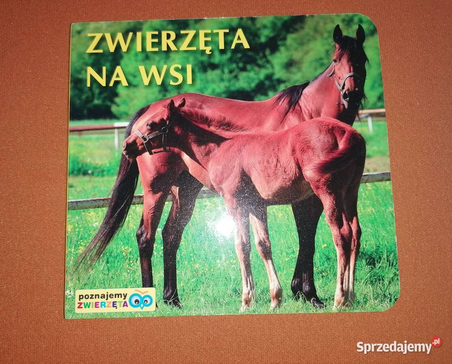 Książeczki dzieci twarde stronyZwierzęta Łódź sprzedam