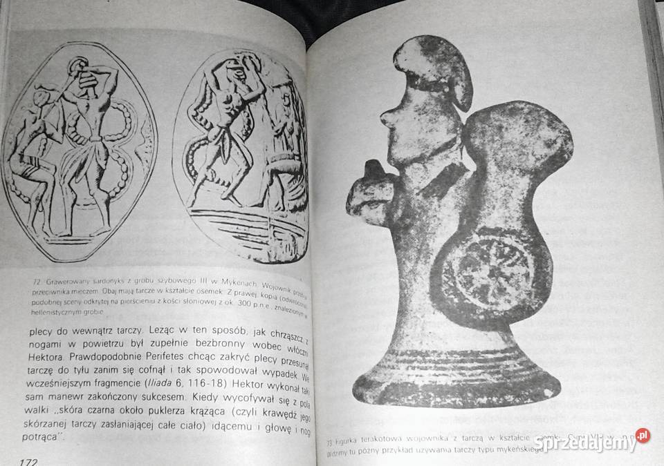 Homer i epoka heroiczna J V Luce Rok wydania 1987 Chełm