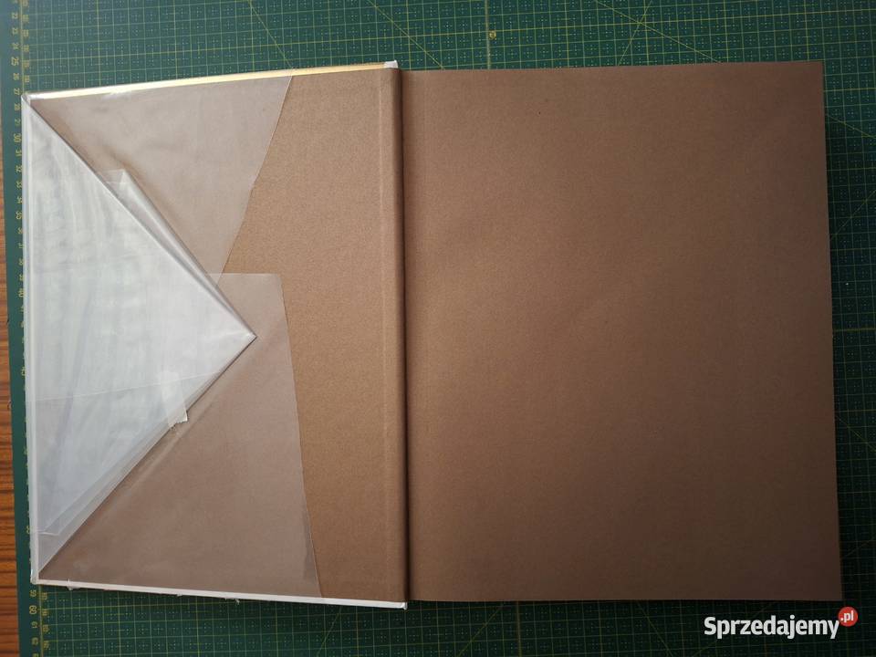 Ikony w Polsce Michał Janocha Arkady Książki naukowe i popularnonaukowe sprzedam