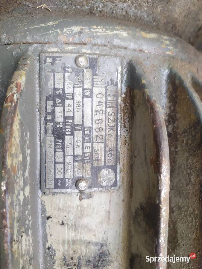 Silnik elektryczny 30 kw Pniówek