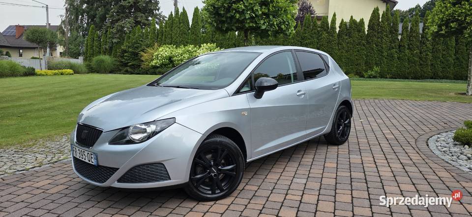 Seat ibiza IV 14 mpi Wadowice