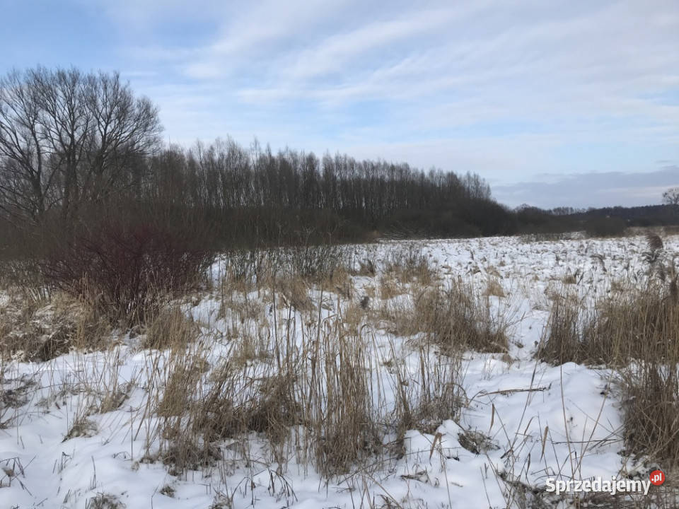 Działka budowlana Stargard Zarowo Żarowo