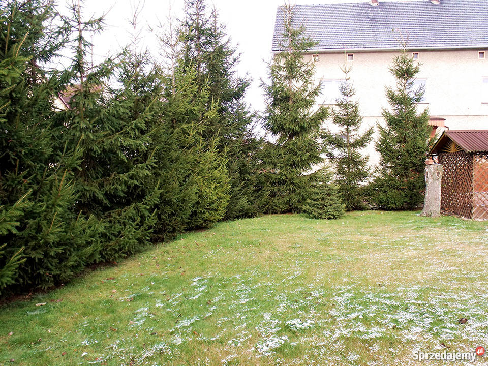 Sprzedam duży dom 18 NYSA 10 PRUDNIK 20 mieszkalny Ścinawa Mała sprzedam