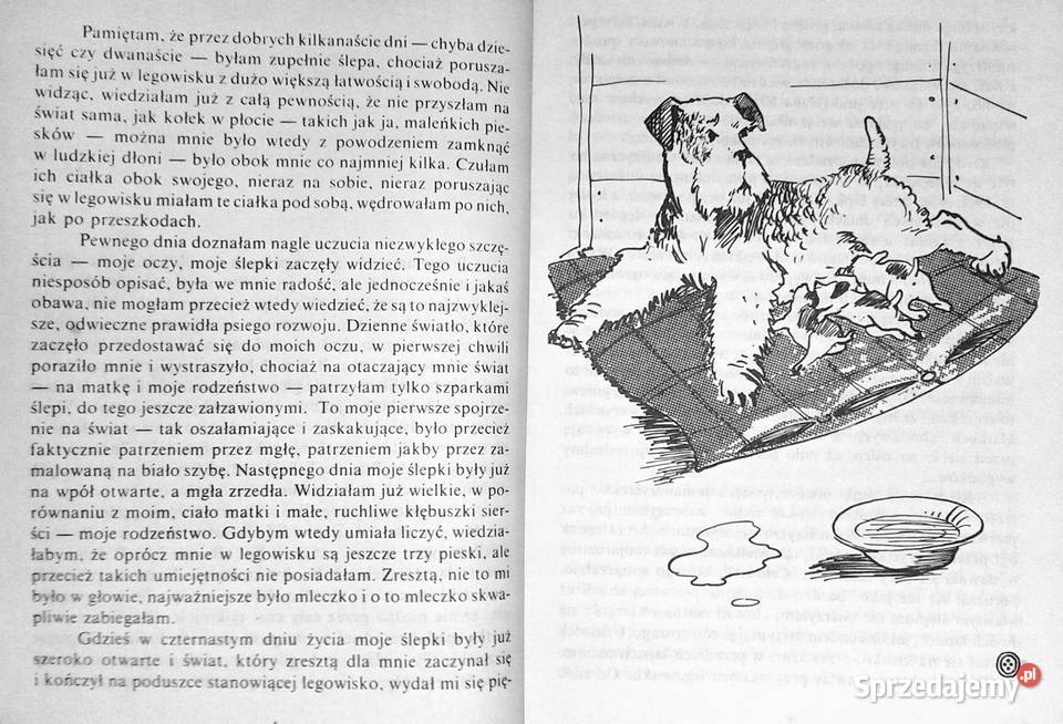 HistoriaHistoria nie z tej ziemi Edward Chełm