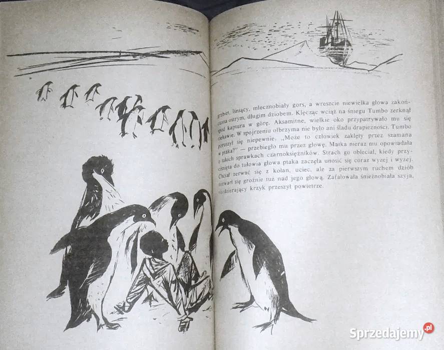 Tumbo z Przylądka Nadziei A i Cz Centkiewiczowie Chełm